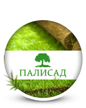 Разработка сайта компании Палисад