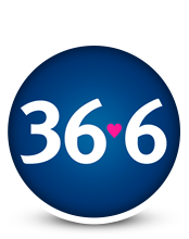 Сеть аптек 36.6